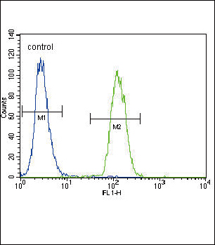 4 - Urokinase (PLAU) Antibody (N-term) AP8161a