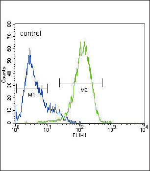 4 - ABCG2 (BCRP) Antibody (Center) AP1490c
