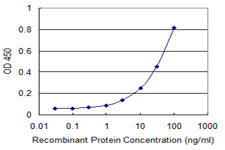 10 - ADPGK Antibody (monoclonal) (M01) AT1057a