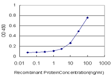 10 - ASB11 Antibody (monoclonal) (M01) AT1210a