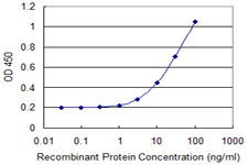 10 - ASGR2 Antibody (monoclonal) (M05) AT1213a