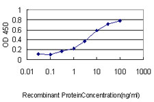 10 - ATOX1 Antibody (monoclonal) (M01) AT1228a