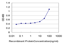 10 - CBX2 Antibody (monoclonal) (M04) AT1409a