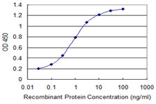 10 - CDADC1 Antibody (monoclonal) (M02) AT1454a