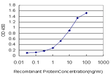 10 - CLCA1 Antibody (monoclonal) (M03) AT1548a