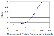 10 - CLN3 Antibody (monoclonal) (M03) AT1561a