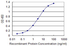 10 - COX4I2 Antibody (monoclonal) (M01) AT1598a