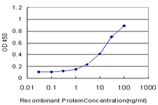 10 - CRKL Antibody (monoclonal) (M03) AT1624a