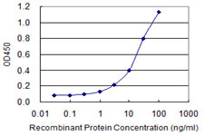 10 - CTBS Antibody (monoclonal) (M01) AT1666a