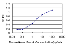 10 - EHD2 Antibody (monoclonal) (M01) AT1866a