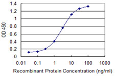 10 - ELAVL1 Antibody (monoclonal) (M02) AT1891a