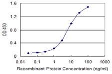 10 - FUBP1 Antibody (monoclonal) (M03) AT2118a