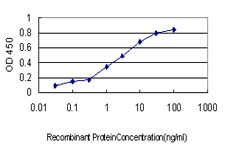 10 - GCSH Antibody (monoclonal) (M02) AT2184a