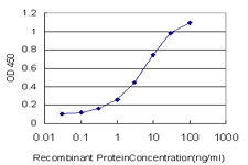 10 - HEPH Antibody (monoclonal) (M01) AT2350a