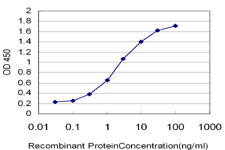 10 - HMGB2 Antibody (monoclonal) (M05) AT2387a