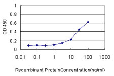 10 - HYI Antibody (monoclonal) (M02) AT2463a