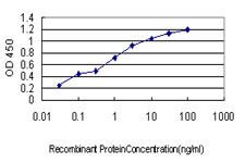 10 - LETM1 Antibody (monoclonal) (M03) AT2697a