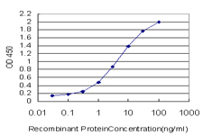 10 - MAPK9 Antibody (monoclonal) (M02) AT2793a