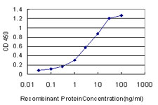 10 - MGAT4A Antibody (monoclonal) (M02) AT2856a