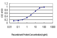 10 - MLH1 Antibody (monoclonal) (M02) AT2879a