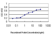 10 - NANS Antibody (monoclonal) (M01) AT2971a