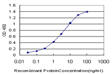 10 - NME1 Antibody (monoclonal) (M02) AT3065a