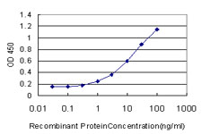 10 - PCDH20 Antibody (monoclonal) (M01) AT3214a