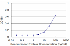 10 - PCDHA12 Antibody (monoclonal) (M02) AT3218a
