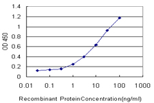 10 - PCDHB12 Antibody (monoclonal) (M05) AT3223a