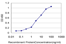 10 - PCDHGA8 Antibody (monoclonal) (M01) AT3229a