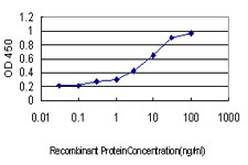 10 - PDCD7 Antibody (monoclonal) (M01) AT3248a