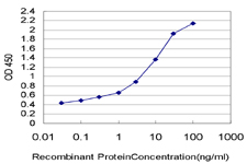 10 - PDE3B Antibody (monoclonal) (M01) AT3255a