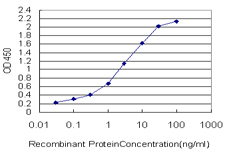 10 - PGAM1 Antibody (monoclonal) (M01) AT3277a