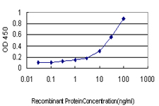 10 - PLCD4 Antibody (monoclonal) (M01) AT3334a