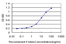 10 - POLR3D Antibody (monoclonal) (M01) AT3378a