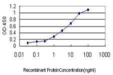 10 - PPOX Antibody (monoclonal) (M01) AT3407a