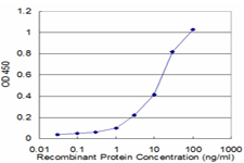 10 - PRKAB1 Antibody (monoclonal) (M01) AT3427a