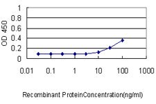 10 - REN Antibody (monoclonal) (M01) AT3617a