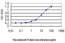10 - RPL10 Antibody (monoclonal) (M01) AT3700a