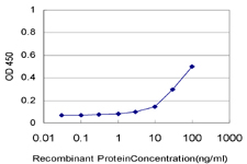10 - SCARA3 Antibody (monoclonal) (M01) AT3783a