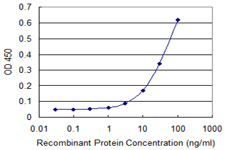 10 - SDF2 Antibody (monoclonal) (M01) AT3801a