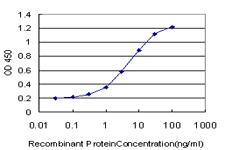10 - SLC19A2 Antibody (monoclonal) (M10) AT3904a