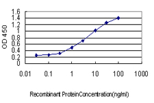 10 - SLC4A4 Antibody (monoclonal) (M01) AT3927a