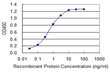 10 - SLC5A2 Antibody (monoclonal) (M01) AT3930a