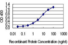 10 - SSX4 Antibody (monoclonal) (M02) AT4049a