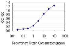 10 - SSX4 Antibody (monoclonal) (M02) AT4049a