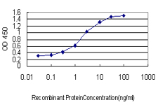 10 - STAR Antibody (monoclonal) (M01) AT4059a