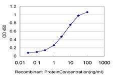 10 - STAT6 Antibody (monoclonal) (M01) AT4067a
