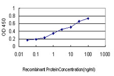 10 - STK6 Antibody (monoclonal) (M01) AT4091a