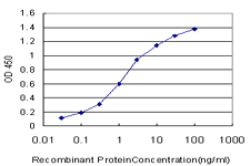 10 - STX4A Antibody (monoclonal) (M04) AT4097a